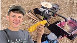 Pushing the New Combine to the Limits - Day in the life of a 18 year old farmer