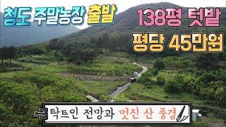 청도땅매매07 매전면 지전리 계획관리 138P 당45만 마을뒤 청정지역 탁트인전망 일조량 풍부 청도주말농장 청도부동산  매전면부동산 청도토지 청도전원주택지