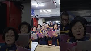 임마누엘교회-찬양단,기도,임마누엘 성가대 예그랑TV #좋아요임마누엘교회 주일예배 -장요한목사 예그랑TV #교회 #일상 #church #찬양 #데일리 #성경 #기도 #주일 #팔로우