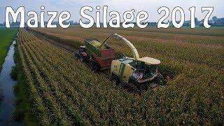 Maize Silage Harvest 2017