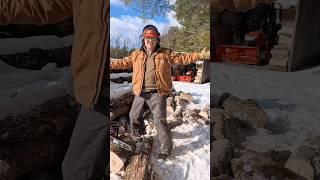 Cutting Frozen Wood in Freezing Temperatures