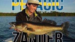 Gunki TV - Pelagic zander fishing in Sweden