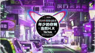 2024最火歌曲DJ Remix【最佳 DJ 混音音乐】 抖音神曲2024  破億中文歌曲排行榜: 是你/LONELY/苦咖啡·唯一/若把你/仗著/王靖雯不胖...