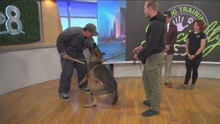 Specialty Dog Training showing tips and tricks to get your pooch to obey