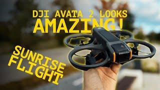 DJI Avata 2 Looks Amazing | Autumn Sunrise Flight | 4K 50FPS