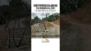 양평 전원마을 피노밸리! 비바람이 몰아쳐도 안전하다!