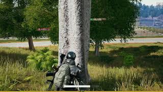 Chicken Dinner