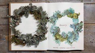 A Year In The Nature Journal: Lichens And Mosses  watercolor tips & foraging for specimens