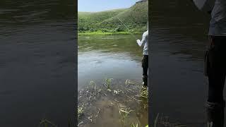 Прекрасное место для ловли жереха #adventure #жерех #рыбалка #спиннинг #спиннингист #лето