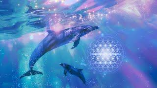 Dolphin Codes 528hz - Sparkling Water Blue Light - Healing Frequencies - Dolphin & Whale Sounds