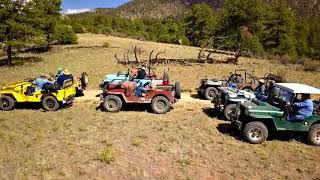 Willys Jeeps - CFFC Fall Color Tours 2020