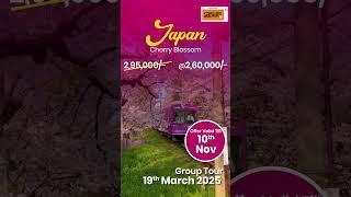 Japan Tour | Smiles Holidays | Tours & Travel Company | Pune