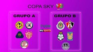  ¡ASÍ SE VA A JUGAR LA COPA SKY MÉXICO 2022! ¡GRUPOS, EQUIPOS, FORMATO ETC! DONDE VER