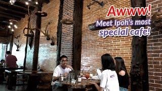 【My Weekend Plan | Ipoh Food | Weekend Experiences】