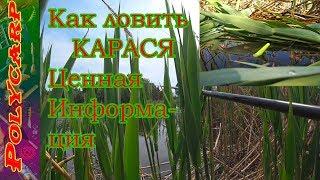 ЛОВЛЯ КАРАСЯ В КАМЫШЕ НА СЕКРЕТНУЮ СНАСТЬ