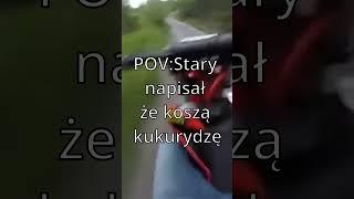Stary napisał że koszą kukurydzę #shorts #oporowo #kukurydza #qq #stary #ogień