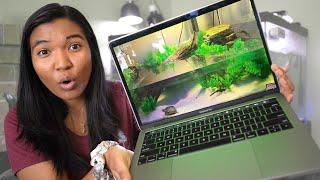 MUSK TURTLE TANK INSPIRATION (reacting to YOUR tanks!)