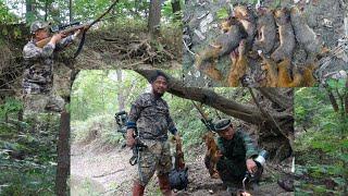 2021 Squirrel Hunting Opening Season in Missouri WMA