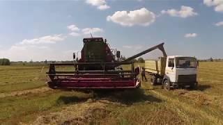 PALESSE GS575 – new grain harvesting combine