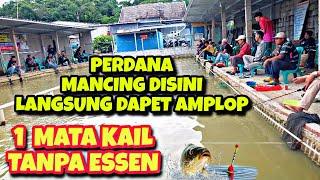 Meskipun Tanpa Essen Umpan ini Tetap Jadi Sasaran Induk | Lomba Mancing Ikan Mas Galapung