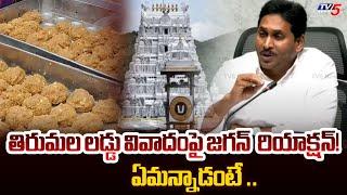 MLA YS Jagan First Reaction on Tirumala laddu Issue | TTD Board | YSRCP | AP News | TV5 News