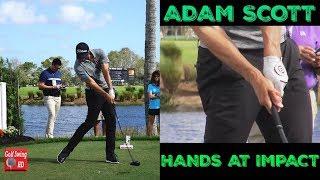 ADAM SCOTT HANDS AT IMPACT SLOW MOTION DRIVER GOLF SWING 1080 HD