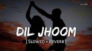 Dil Jhoom (Slowed + Reverb) | Vishal Mishra, Shreya Ghoshal | Crakk | CS Lofi | Bollywood Song