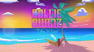 Collie Buddz - Take It Easy (Full Album)