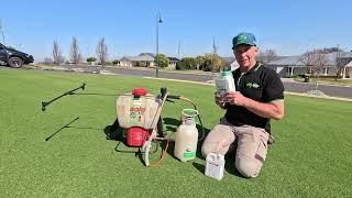 Controlling bindi and broad leaf weeds in my lawn