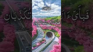 Surah Rahman With Translation Quran Tilawat Recitation #YouTube #