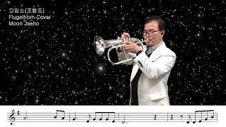 고맙소(조항조)Flugelhorn Cover Moon Jaeho