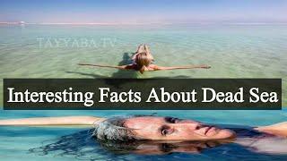 Interesting Facts About Dead Sea | TAYYABA TV