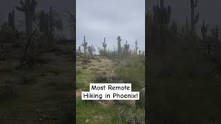  Where to Hike in Phoenix, AZ. #shorts #hiking #nature #remote #wildlife #travel #adventure