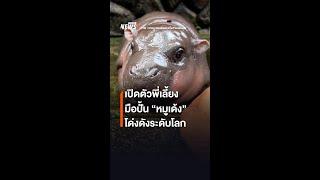 เปิดตัวพี่เลี้ยงมือปั้น "หมูเด้ง" โด่งดังระดับโลก | Thai PBS News