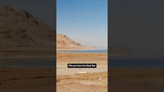 Dead Sea Unique Fact #shorts #shortsvideo #deadsea #unique #uniquefacts