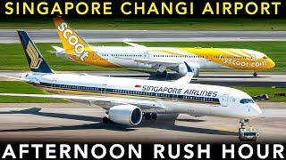 SINGAPORE CHANGI AIRPORT  - Afternoon RUSH HOUR | Plane Spotting