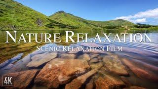 3 Hours of Amazing Nature Scenery & Relaxing Ambient Music for Stress Relief