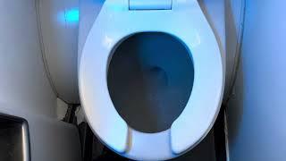 Delta Airlines A320 Flight 1694 Toilet