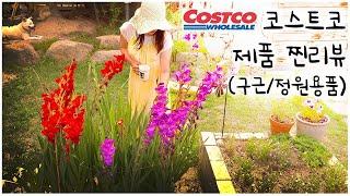 #75. Planting Spring Bulbs! | Costco Garden Supplies Recommendations Review | Gladiolus Planting