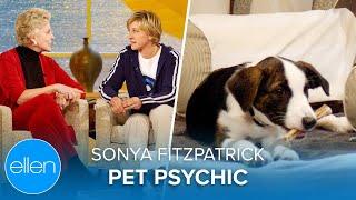 Pet Psychic Sonya Fitzpatrick Reads Ellen’s Dog