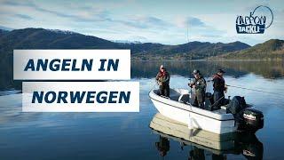 Angeln in Norwegen - Mit Nippon Tackle im Fjord