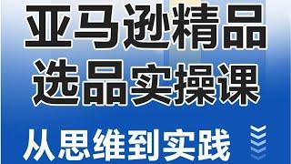 亚马逊精品选品实操课，从思维到实践