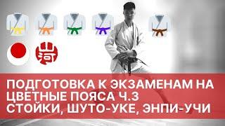 Подготовка к экзаменам по каратэ: часть 3, стойки, перемещения, шуто-уке, эмпи-учи