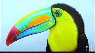 The realistic Toucan drawing @Arun.fantasric.gameplay