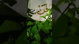 #arabic calligraphy #short #status #viral #videos #creative #art#فن