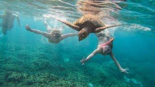 AMAZING holiday in AMAZING VIEW, Thoddoo island, MALDIVES