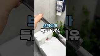 브러쉬가 특별한 이유 #살림템