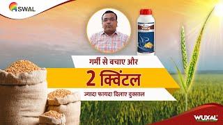 Wuxal help farmers beat the heat and increase wheat yield