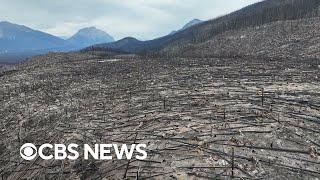 How summer wildfires tore through Canada's Jasper National Park