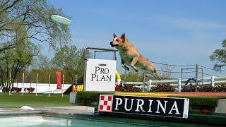 Explore Purina Farms with your Family!